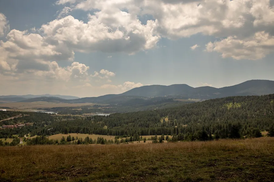 Brda i šume Zlatibora