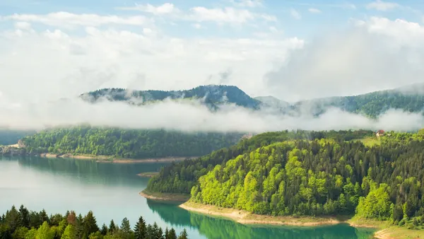 Zaovinsko jezero na Tari okruženo šumom