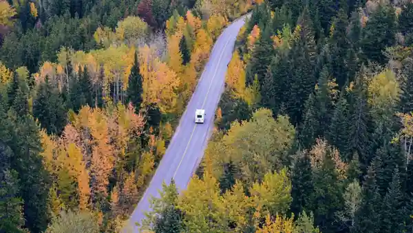 Kamper na krivudavom putu kroz jesenju šumu